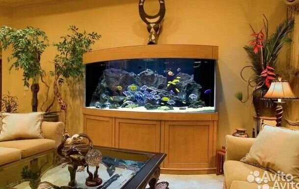 Изготовление, обслуживание и ремонт аквариумов