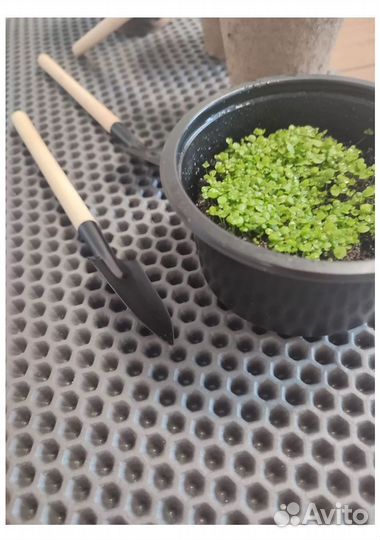 Коврик для рассады цветов и растений