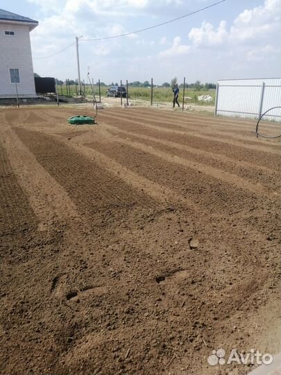 Подготовка посадка газона