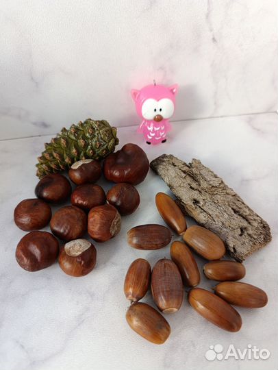 Набор природного материала