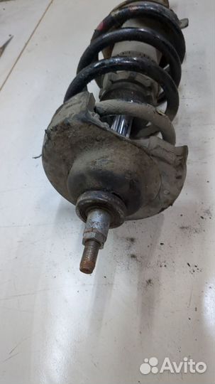 Амортизатор подвески Opel Vivaro, 2015