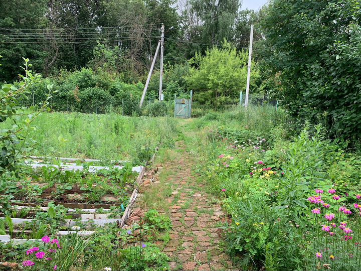 Дом 50 м² на участке 10 сот.