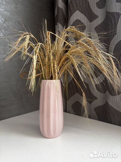 Сухоцветы пшеница