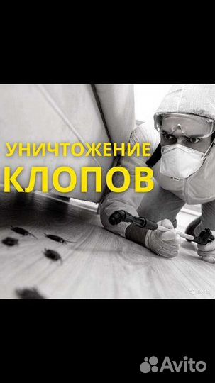 Уничтожение клопов
