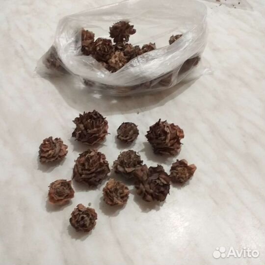 Цветы сухоцветы