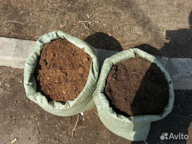 Конский навоз в мешках 50 л (перепревший и свежий)