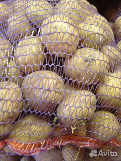 Продам картофель