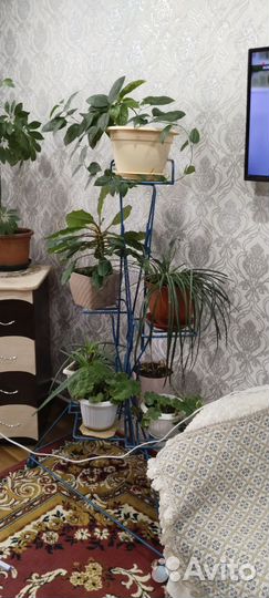 Продам металлическую подставку под цветы