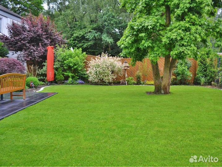 Рулонный газон 