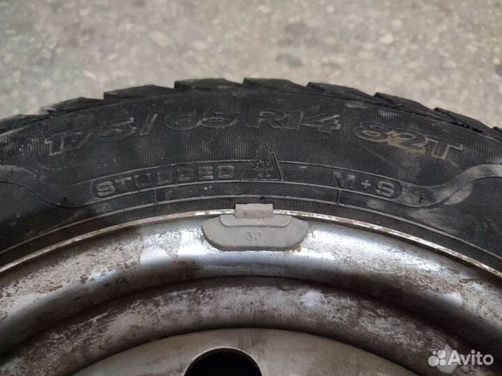 Sava Eskimo Stud 175/65 R14