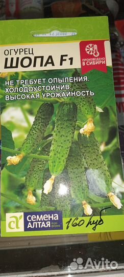 Семена огурцов