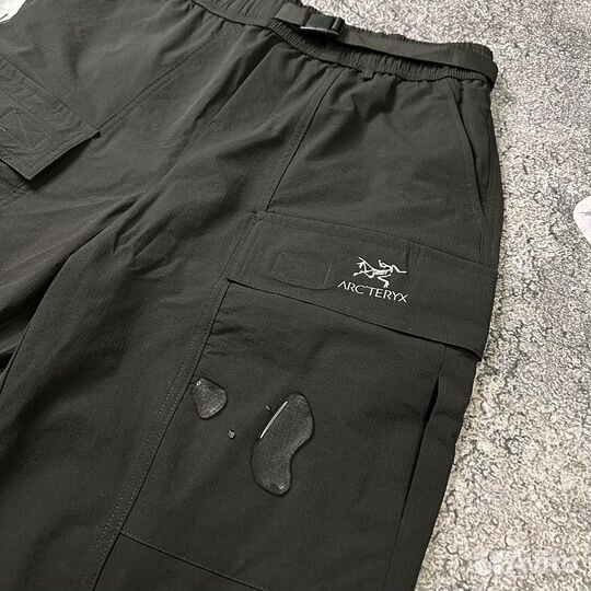 Arcteryx Спортивные Штаны Брюки