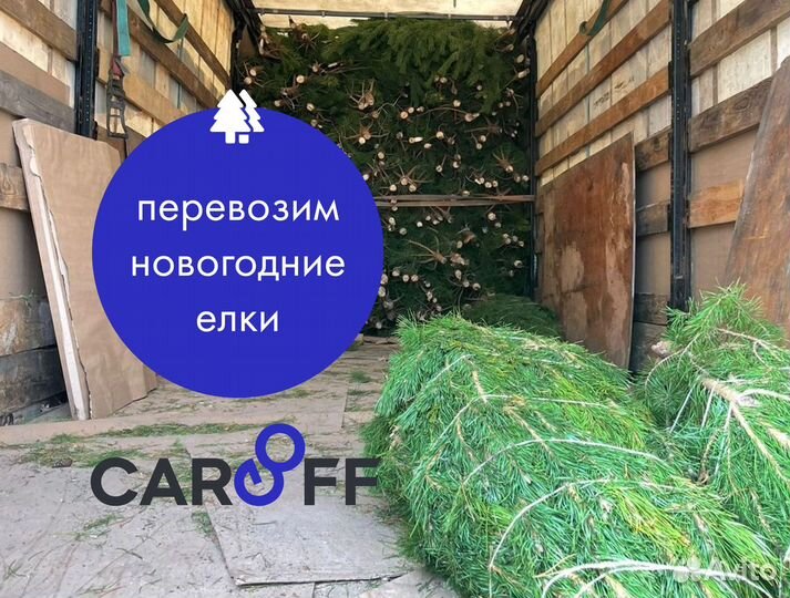 Доставка новогодних елок. Тент фура 10-20 тонн