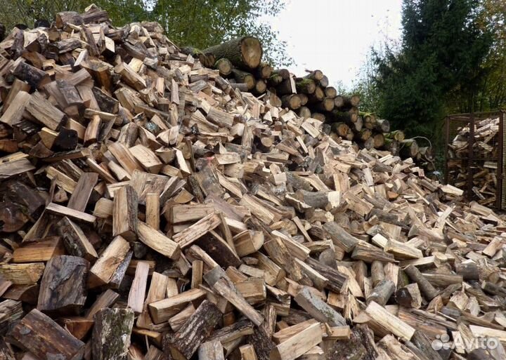Дрова осина