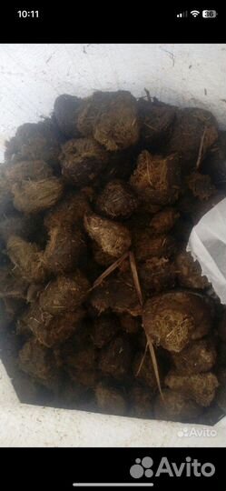 Конский навоз.есть перегной,и свежий навоз