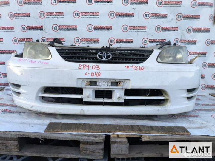 Nose cut toyota corolla spacio