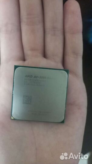 Процессор amd a8 3850