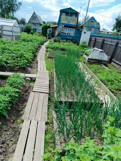 Дача 30 м² на участке 6 сот.