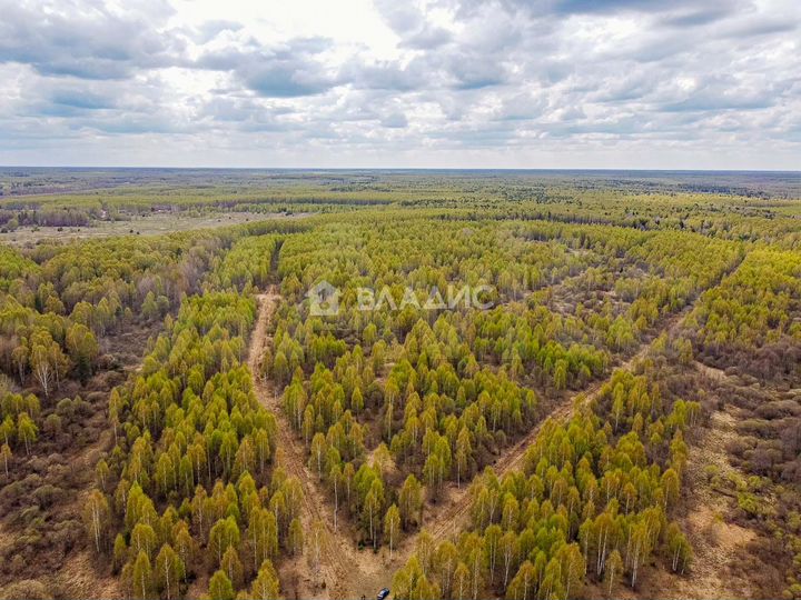 Участок 21,8 сот. (СНТ, ДНП)