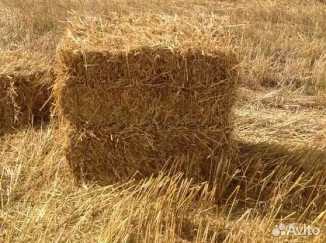 Сено и солома,отличное качество