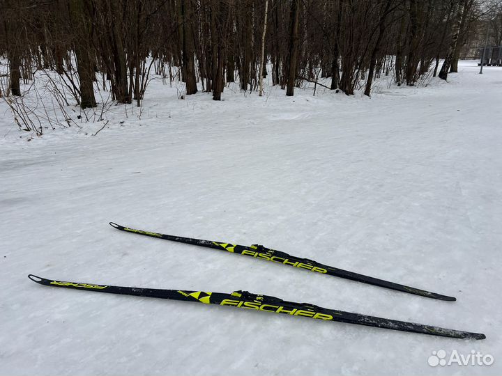 Fischer speedmax skate plus