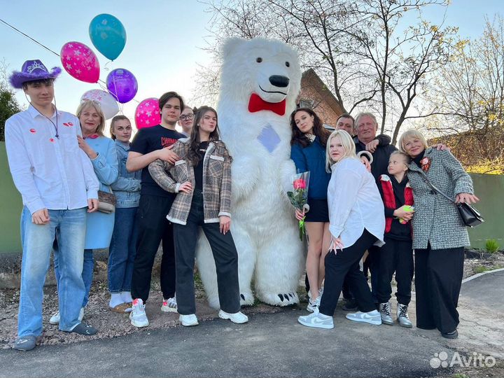 Ростовой медведь