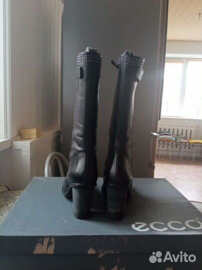 Сапоги женские ecco