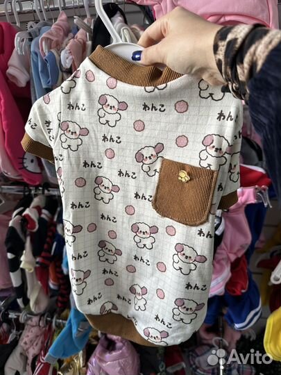 Одежда для собак