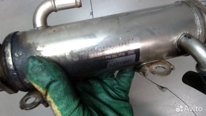 Охладитель отработанных газов Chevrolet Epica, 200