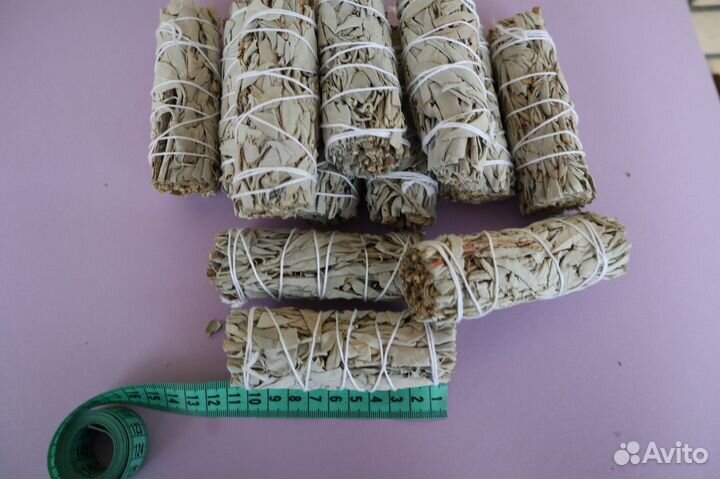 Шалфей Белый от 300шт опт для Озон