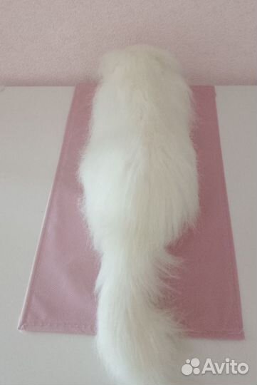 Мягкая игрушка белая кошка