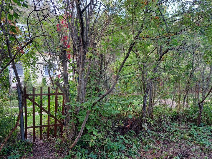 Дача 54,8 м² на участке 7 сот.