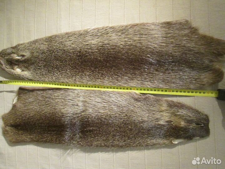 Шкурки нутрии