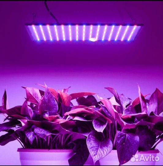 Новая Фитолампа 45Вт