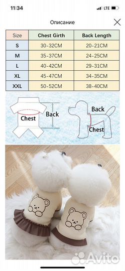 Одежда для собак