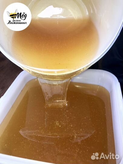 Мед натуральный, дегустация