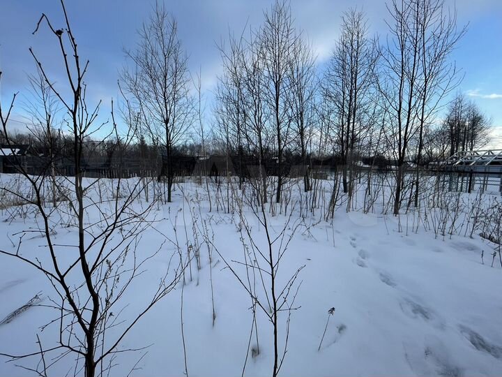 Участок 6 сот. (СНТ, ДНП)