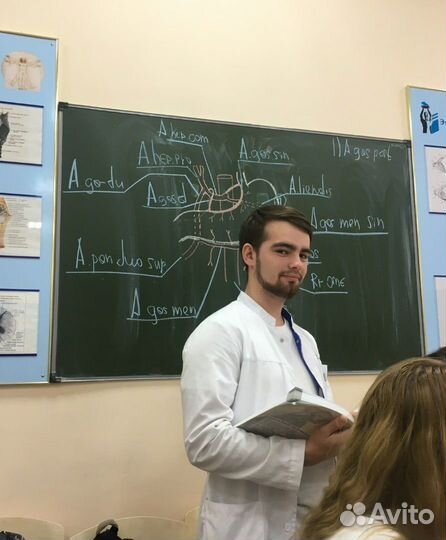 Репетитор Биология-Химия 9-11 класс