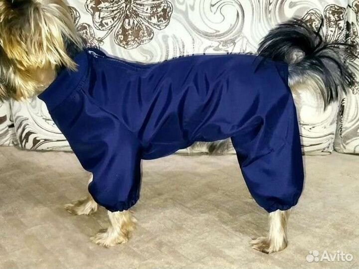 Одежда для маленькой собаки