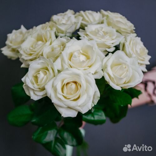 Букет из 15 белых роз Цветы Иркутск