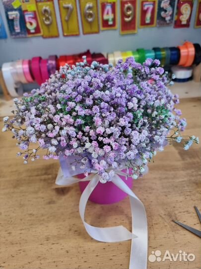 Гипсофила в коробке,радужная гипсофила