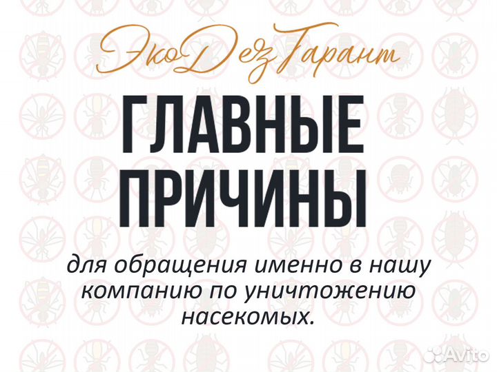 Уничтожение насекомых