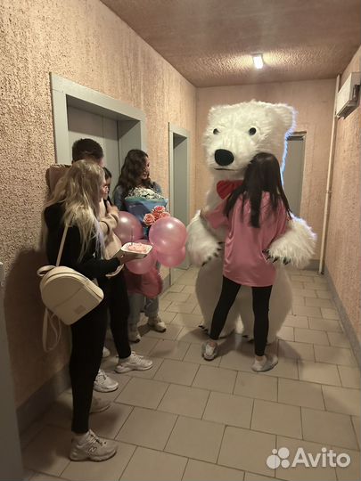 Поздравление от Белого Мишки и Панды