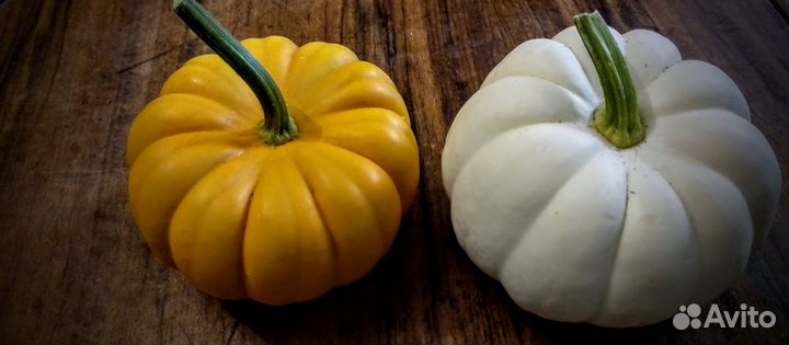 Тыква декоративная