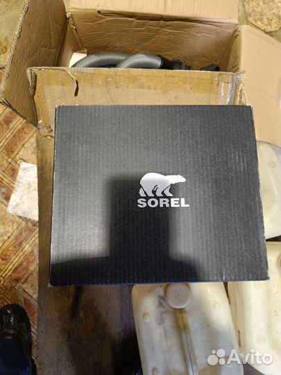 Sorel