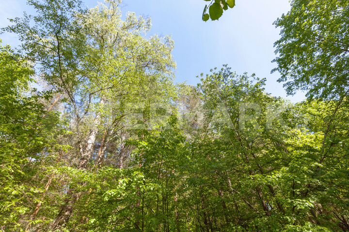 Участок 83 сот. (ИЖС)