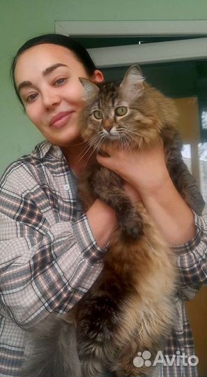 Передержка домашних животных