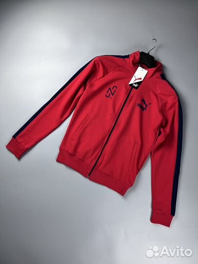 Спортивный Костюм Puma