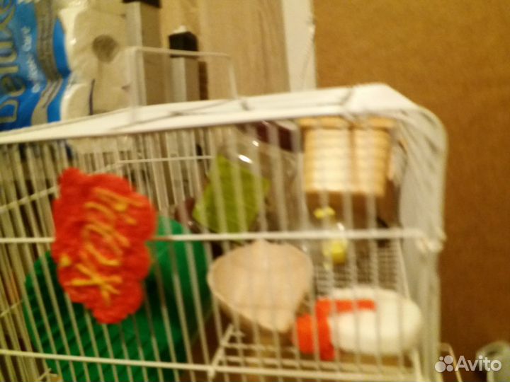 Клетка для грызунов