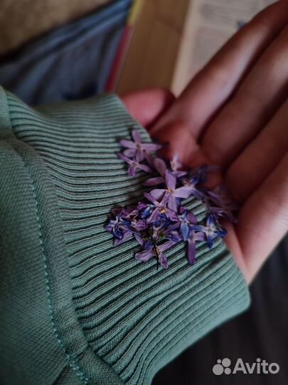 Сушеные цветы